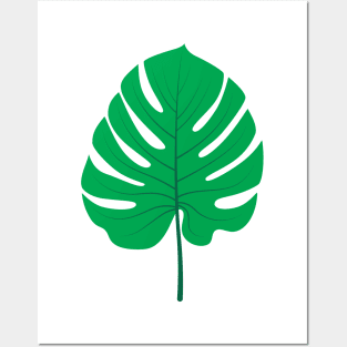 Monstera Posters and Art